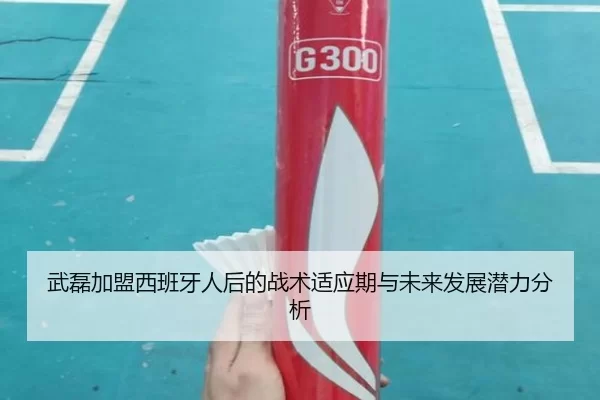 武磊加盟西班牙人后的战术适应期与未来发展潜力分析